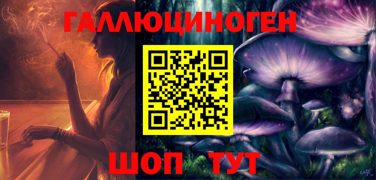 Псилоцибиновые грибы Psilocybine cubensis Коряжма