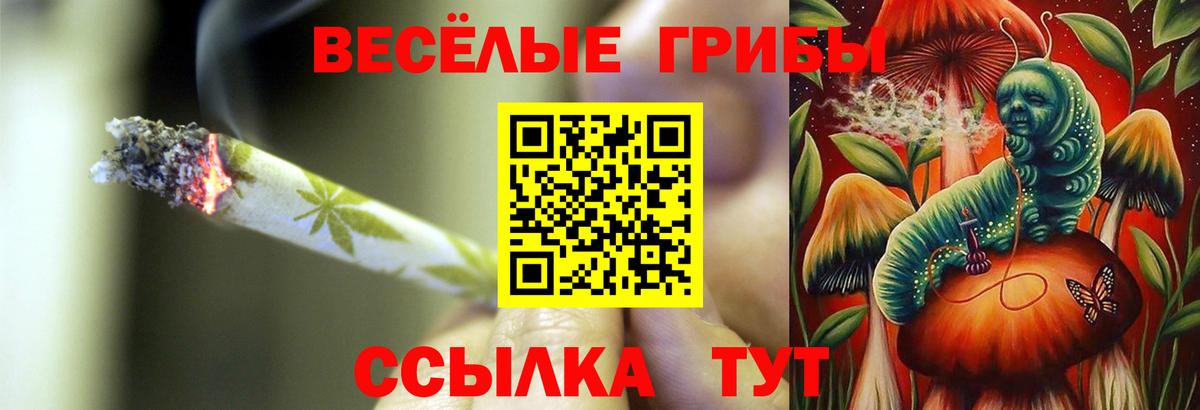 даркнет сайт  Галлюциногенные грибы Magic Shrooms  Вход с VPN  Коряжма 
